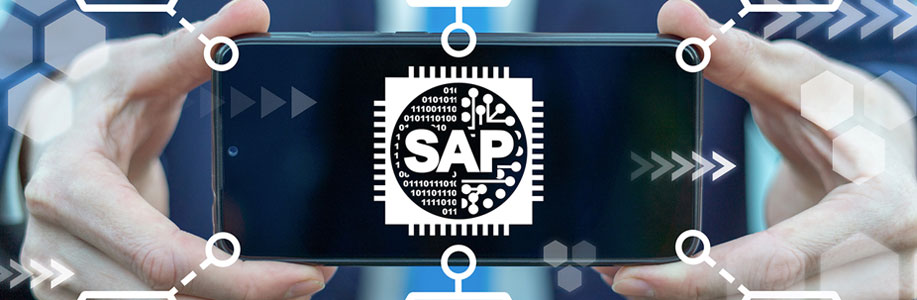 Logiciel de gestion SAP